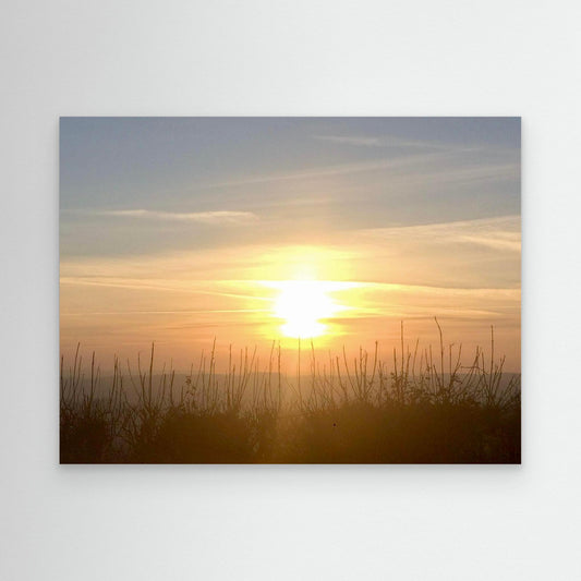 Golden Quiet