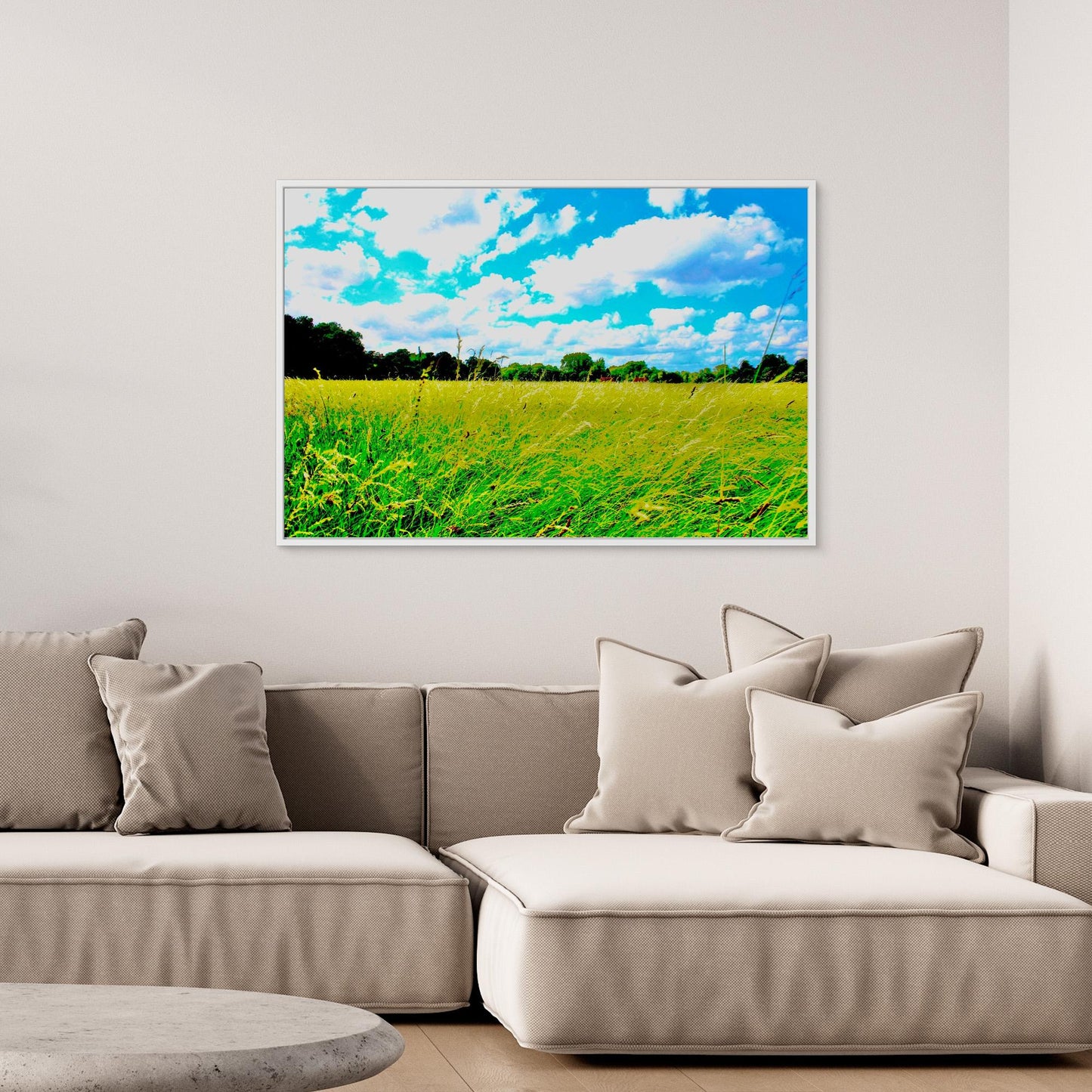 Through the Long Grass by Roger Cane