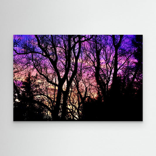 Violet Silence