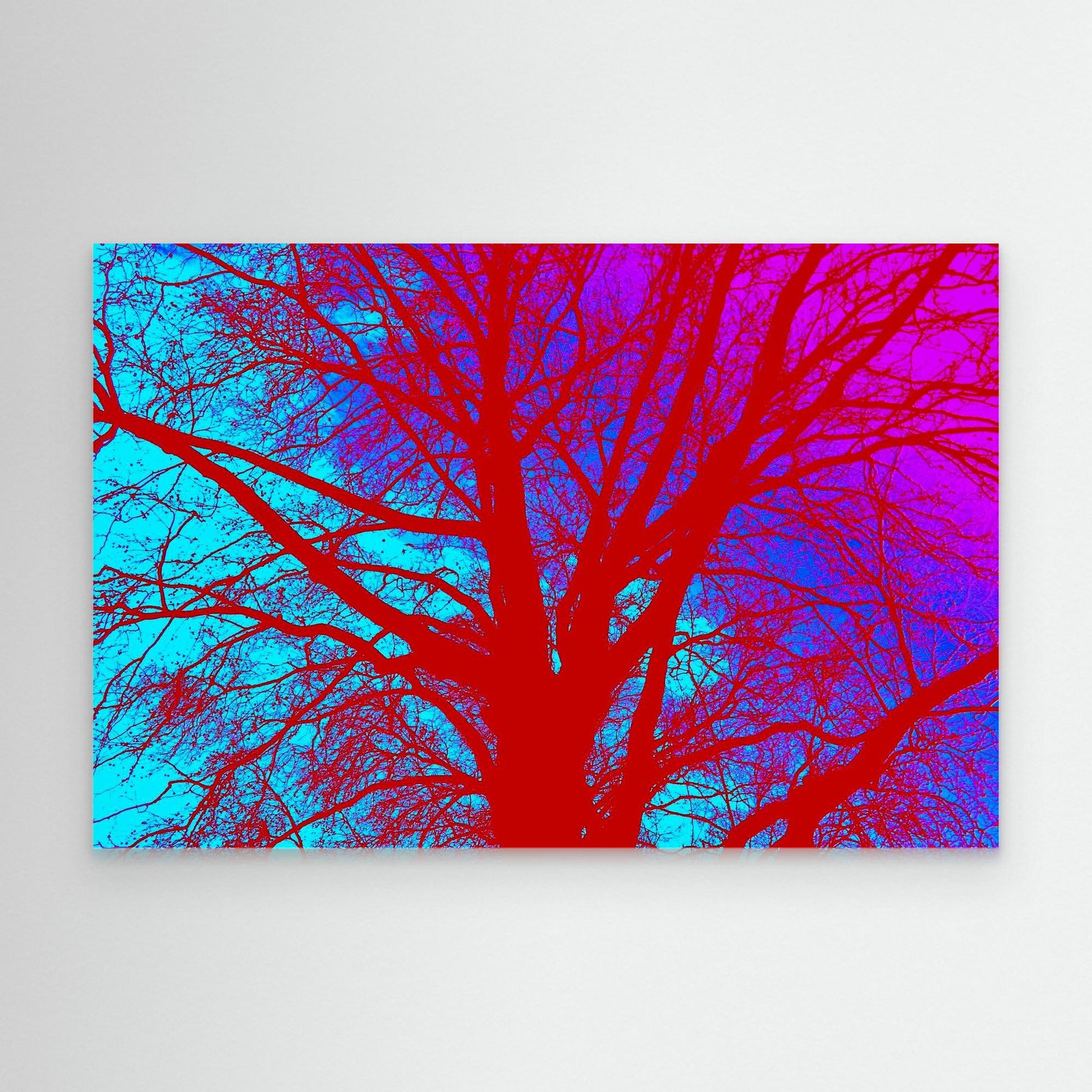 Electric Canopy by Roger Cane