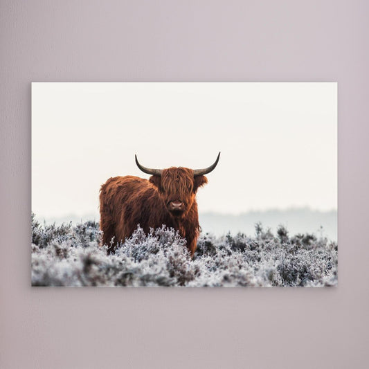 Highlander by Jaap Van Den Helm