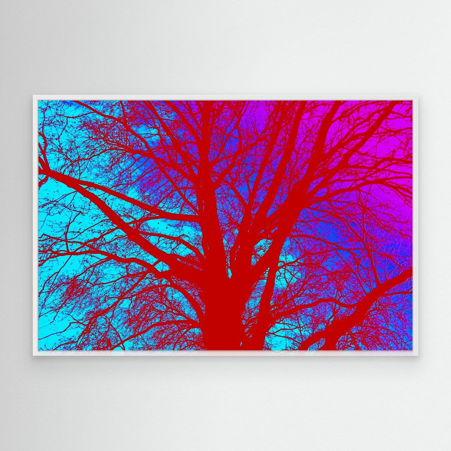 Electric Canopy by Roger Cane