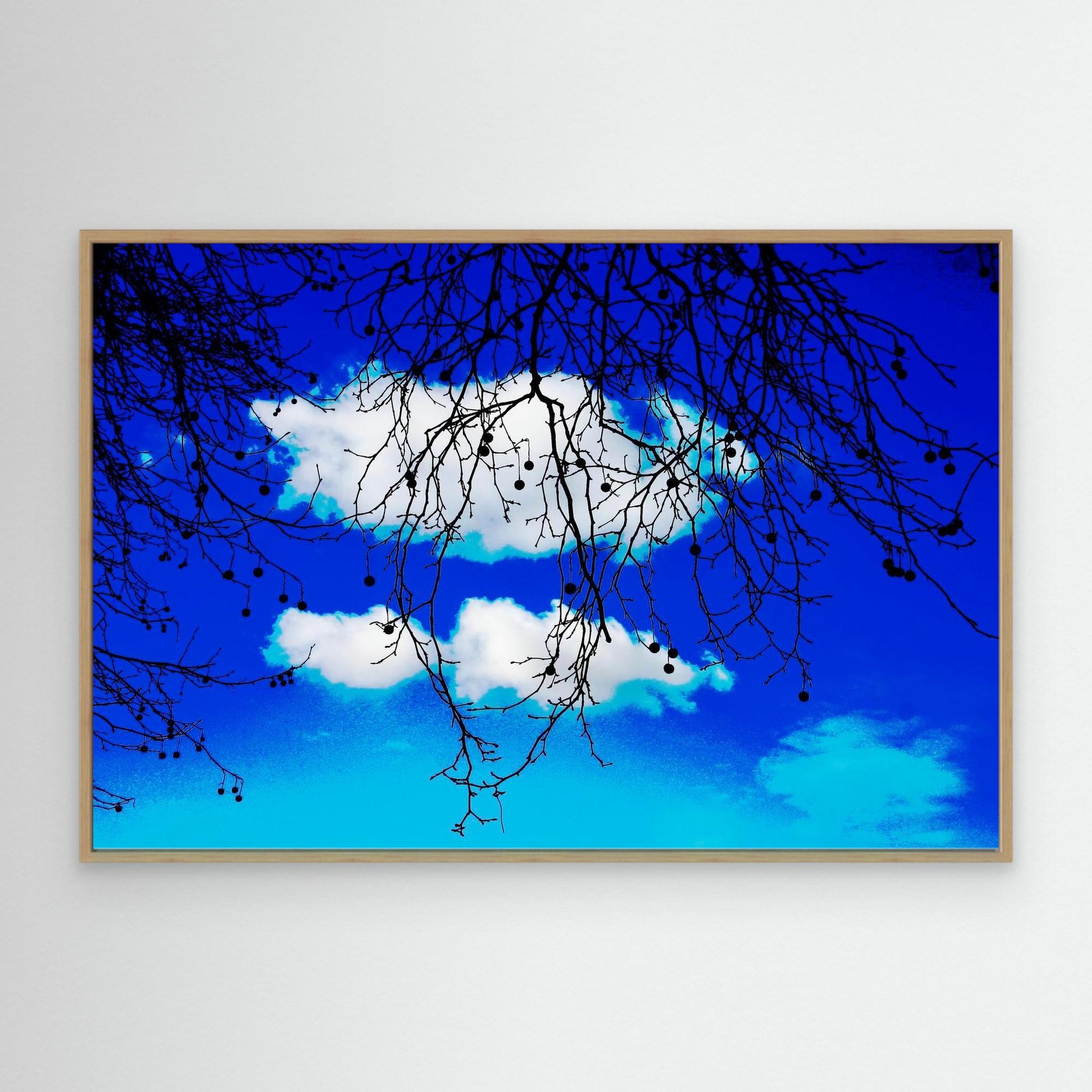 Hanging Between Clouds by Roger Cane