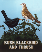 Bush, Blackbird & Thrush White Glossy Mug